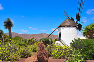Fuerteventura