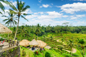 Excursiepakket Bali - 3 excursies voor de zomerperiode