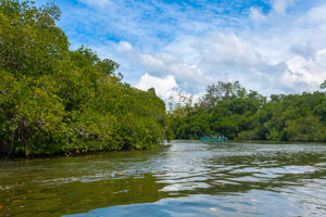 Bootsafari Madhu rivier
