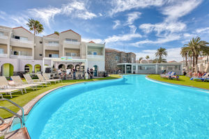 Koala Garden by LIVVO