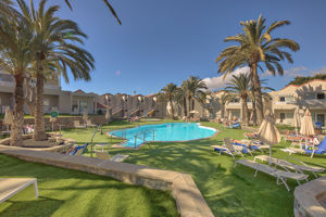 Koala Garden by LIVVO