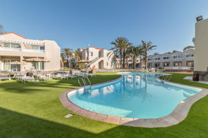 Koala Garden by LIVVO