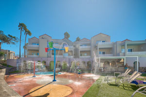 Koala Garden by LIVVO