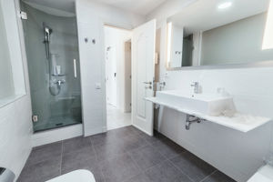 Koala Garden by LIVVO