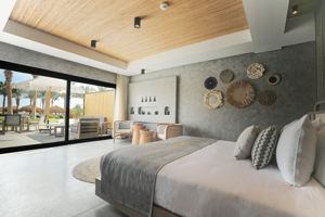 Woonvoorbeeld executive suite met jacuzzi of zwembad