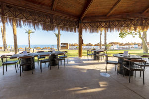 Chimichurri steak restaurant