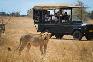 Azao Resort & SPA & Safari Tanzania