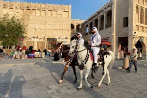 Unieke cruise Midden-Oosten & F1 Qatar én Abu Dhabi 