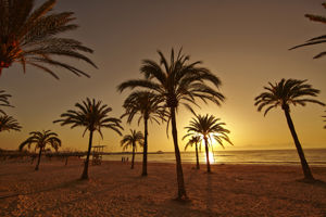 Palma Bay Club Resort