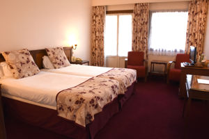 Woonvoorbeeld standaardkamer tuinzicht met balkon of terras