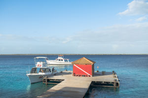 Fly & Go Captain Don's Habitat