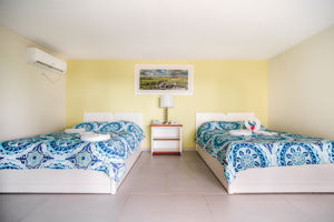 Fly & Go Captain Don's Habitat