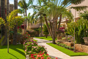 Danaides Appartements