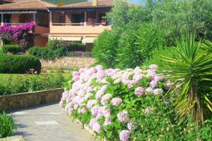 Baia de Bahas Appartementen