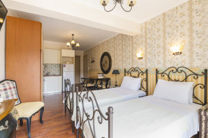 Woonvoorbeeld Junior Suite Mountain View