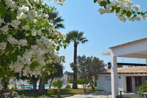 Monte dos Avos Fuseta