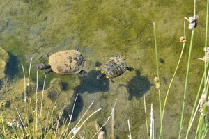 Quinta dos Poetas Appartementen