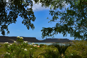 Woonvoorbeeld Flamingo View Apartment