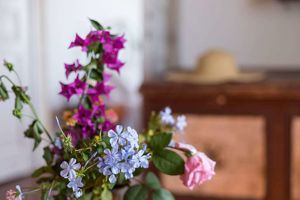 Villa Ioanna en Villa Petrino