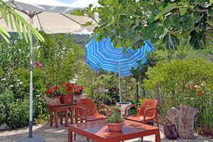 Feeloxenia Apartments