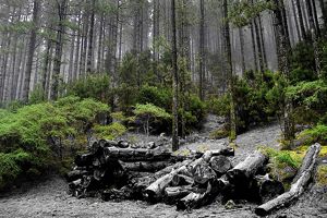 Casa Rural Doña Herminda