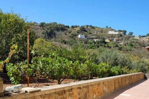 Finca La Palma I, II en III