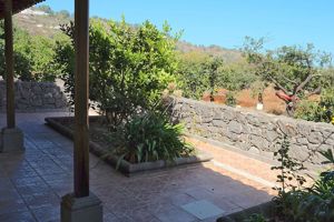 Finca La Palma I, II en III