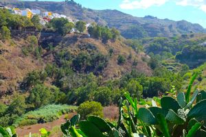 Finca La Palma I, II en III