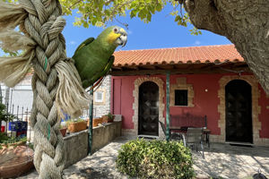 Terracotta Boutique Beach Studios