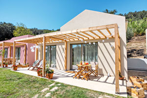 Woonvoorbeeld Kumquat of Mandarin