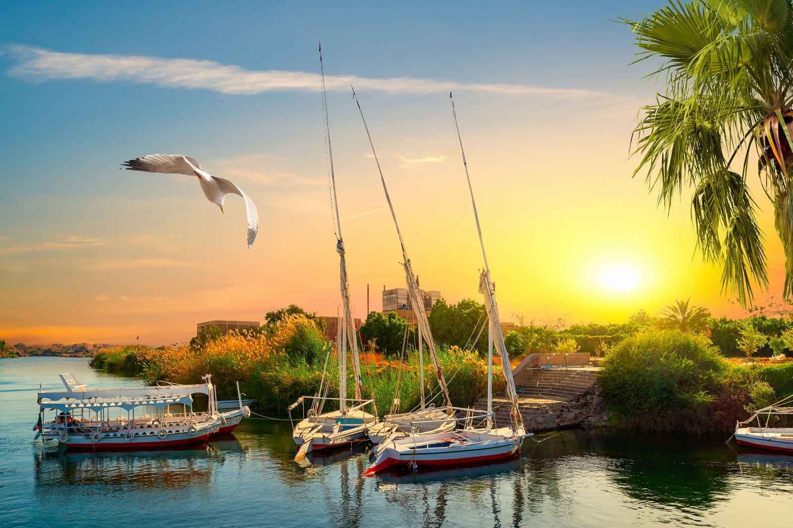 Luxueuze Nijlcruise en Strandverblijf