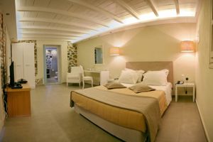 Woonvoorbeeld 2-persoonskamer Executive