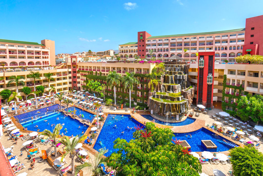 fly-go-best-jacaranda