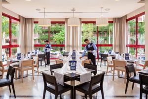 Fly & Go Best Jacaranda