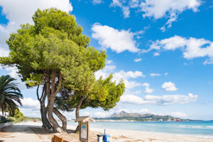 Fly & Go Eix Platja Daurada