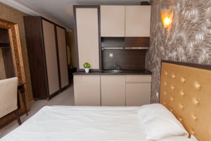 Harmony Suites Jungle