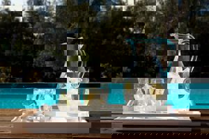 Woonvoorbeeld 3-kamer Villa