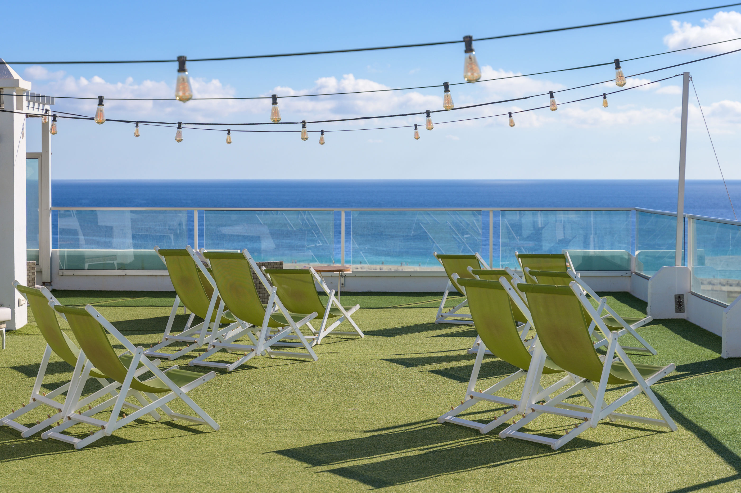 fergus-cactus-garden