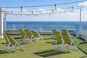 Fergus Cactus Garden