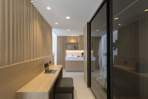 Woonvoorbeeld premium suite swim up