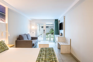 Fly & Go Fergus Cactus Garden