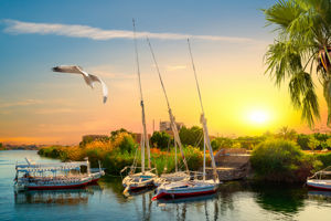 Croisière sur le Nil 5* & Sunrise Alma Bay Resort 4*