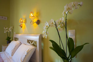 Fly & Go Maistrali Hotel