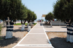 Fly & Go Studio Angela