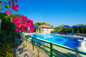 Fly & Go Albatros Studios