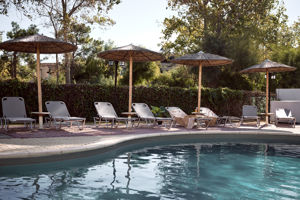 Fly & Go Nemesis Studio's