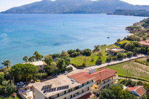 Fly & Go Koukla Mare Studios