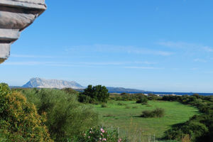 Residence Oasi & Blu