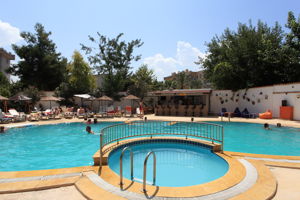 Fly & Go Golden Moon