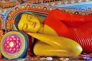 Najwazniejsze atrakcje Sri Lanki do wylotu 21/7